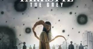 Netflix Parasyte The Grey Poster